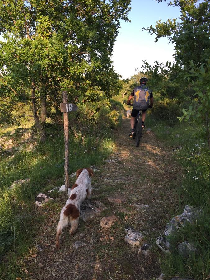 Masseria Camarda Ceglie Messapica Εξωτερικό φωτογραφία
